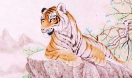 3 con giáp tài trí hơn người, không dễ bị bắt nạt, sau 40 tuổi sự nghiệp và tiền tài thăng hoa rực rỡ 