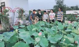 Vợ chồng ở Sài Gòn biến sân thượng thành đầm sen thơm ngát và vườn rau sạch đủ cung cấp cho cả đại gia đình