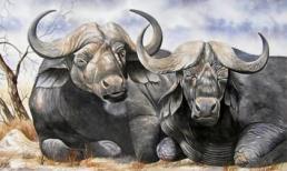 Bước sang tháng 6, 3 con giáp này may mắn ngút trời, phát tài phát lộc, ăn nên làm ra