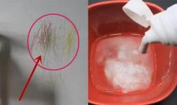 Bức tường trắng bị bẩn không cần sơn lại, dùng loại nước tự chế này lập tức tường sẽ sạch như mới