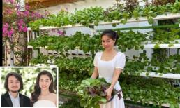 Khám phá vườn rau sạch của vợ chồng 'đạo diễn của các Hoa hậu' Hoàng Nhật Nam