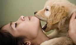 Như người ta vẫn nói: 'Đàn ông tốt không nuôi mèo, phụ nữ tốt không nuôi chó' là có hàm ý gì?