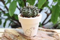 Ngôi nhà phạm phải những thứ đại kỵ này bạn dễ bị tán lộc