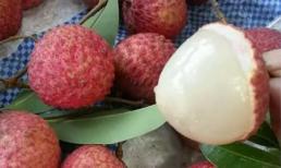 Mẹo ăn vải thiều không sợ nóng và 3 cấm kị khi ăn vải thiều để tránh 'rước họa' vào thân