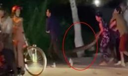 Trăn siêu to khổng lồ bị nhiều người ở Vĩnh Long bế đi khi đang tìm đường về nhà