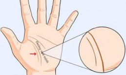 Soi tướng bàn tay phụ nữ biết ngay số sướng - khổ