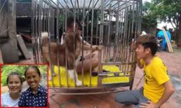 Con trai bà Tân Vlog gây tranh cãi khi dụ nhốt em gái nuôi vào chuồng chó