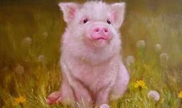 Tháng 5 âm lịch, những con giáp may mắn này sẽ có quý nhân phù trợ, hút cạn lộc trời, tiền chất đầy nhà