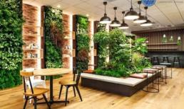 Bật mí tác dụng của các mẫu thiết kế, thi công vườn tường đứng độc đáo