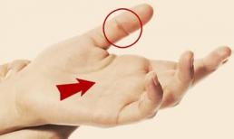 3 tướng bàn tay độc - lạ cực hiếm, ai có được cả đời tiêu không hết tiền