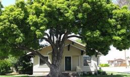 5 kiểu nhà phong thủy cực xấu, gia chủ càng ở lâu càng lụi bại