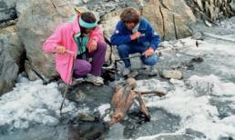 Người băng Otzi: Xác ướp lâu đời nhất của loài người từng được tìm thấy và bí ẩn lời nguyền đáng sợ đoạt mạng 7 người