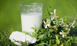 5 loại thảo dược giúp bạn đánh bay cái nóng mùa hè và giải nhiệt cơ thể