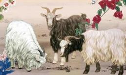 Top 3 con giáp may mắn nhất tuần tới, vạn sự hanh thông, quý nhân phù trợ, đạt được thành công khó ai sánh bằng