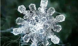 Kiểm tra tâm lý: Bạn thích bông tuyết nào từ cái nhìn đầu tiên? Ai là người bạn không bao giờ quên