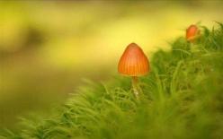 Đàn ông 'trốn tránh' bạn trong những lúc này! Đừng 'tự lừa dối mình nữa'!