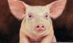 Top 3 con giáp xui xẻo cuối tuần này (27-28/6), làm gì cũng thất bại, khó có thành công