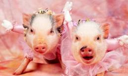 Sau ngày 10/7, 3 con giáp Thần Tài ban phước, làm gì cũng suôn sẻ, tiền về tới tấp