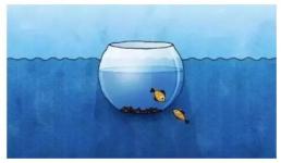 Trẻ càng nổi loạn, cha mẹ có thể thử 'quy tắc bể cá', hiệu quả hơn cả ngàn lời nói
