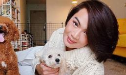 Đào Bá Lộc: 'Dạo này tôi sợ mất người yêu và đã nghĩ đến chuyện kết hôn'