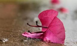 'Nói quá nhiều sẽ mất khôn và cái ác sẽ 'phun' ra khỏi miệng': Người khôn ngoan, không bao giờ nói ba từ này