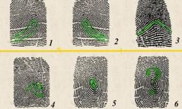 5 giây nhìn ngón trỏ tay phải, biết ngay ai có tướng làm lãnh đạo