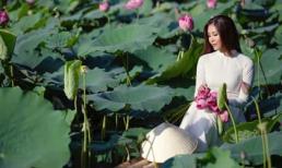 Hoa hậu Biển Nguyễn Thị Loan duyên dáng khi diện áo dài chụp ảnh ở hồ sen