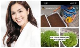 Nhóc tỳ nhà Hà Tăng vẫn giản dị theo mẹ trồng rau muống dù sống trong nhung lụa