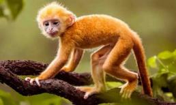 Càng về cuối năm 3 con giáp này vận càng lên hương, phát tài giàu có, tiền nhiều không đếm xuể