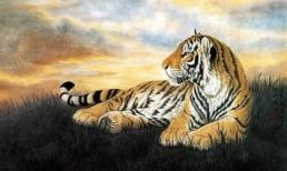 Tuần tới, 3 con giáp này gặp nhiều may mắn, quý nhân chiếu cố, giàu có bất thình lình