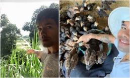 Ya Suy bị nhiều người cười khinh khi là ca sĩ nổi tiếng lại về quê nuôi gà, chăn heo