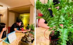 Kim Hiền tiếp tục chia sẻ điều kỳ lạ liên quan đến người mẹ đã mất trong ngày sinh nhật con trai