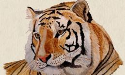 Những con giáp may mắn hơn người, thần tài chiếu cố, rót lộc vào túi trong 3 tháng tới