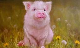 3 con giáp nữ sinh ra đã mang mệnh Phượng Hoàng, được Thần Tài ưu ái cả đời, cuộc sống giàu sang phú quý