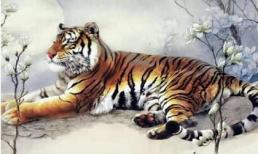 Tuần tới, top con giáp này siêu may mắn, vạn sự như ý, tình tiền đều khởi sắc