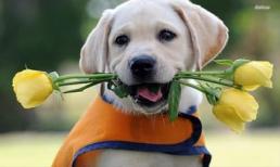 Thần tài chấm số đỏ, 3 con giáp hứng trọn vận may, tài lộc rủng rỉnh từ giờ đến rằm tháng 7 âm lịch