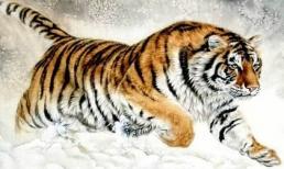 Cuối năm Canh Tý, đây chính là 3 con giáp thoát nghèo, phất lên như diều gặp gió