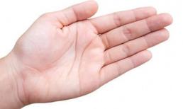 Điểm lạ trên bàn tay báo hiệu Thần Tài mở két 'rót tiền', sắp đổi đời giàu sang, đặc biệt số 4 hiếm gặp