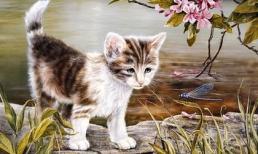 Tuần tới, top 3 con giáp có may mắn bất ngờ, tài lộc và sự nghiệp đều thăng hoa, gia đình vạn sự ấm êm