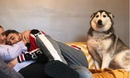 Đang ôm bạn gái ngủ thì bị 'đánh ghen', cảnh tiếp theo khiến nhiều người chết lặng