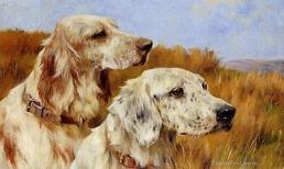 Chẳng ngại tháng 7 cô hồn, ai đen thì đen riêng 3 con giáp này vẫn xuất sắc vượt qua, may mắn nối tiếp may mắn, phát tài ầm ầm