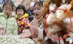 Được cô giáo mầm non gửi ảnh bữa trưa của con, nào ngờ bố mẹ nổi giận đùng đùng khi thấy thứ này trong thực đơn