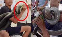 Người đàn ông mang rắn hổ mang đến bệnh viện sau khi bị cắn: Tình hình sức khỏe diễn biến phức tạp