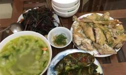 Lần đầu ra mắt, chàng trai khiến bố mẹ vợ tương lai đứng hình khi ăn 5 bát cơm, nửa con gà, gần 1 hộp cherry, dân mạng phản ứng ngược