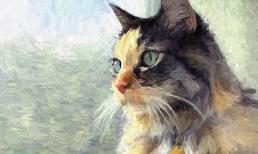 Từ 7/7 âm lịch, 3 con giáp vận đỏ như son, đắc tài đắc lộc, bạc tiền như núi