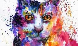 Sau Rằm tháng 7 âm lịch: 3 con giáp được Thần Tài nâng đỡ, sự nghiệp thăng hoa, tài lộc dồi dào