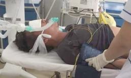 Nọc độc rắn hổ mang chúa 4,6kg ở núi Bà Đen đã dần thua 'sức chiến đấu' của nạn nhân