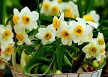 Càng làm 4 thứ sau trong nhà càng kém! Hãy vứt bỏ chúng nhanh chóng để tránh ảnh hưởng đến phong thủy tài lộc của ngôi nhà! 