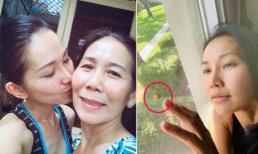Thấy bướm lạ đậu ở cửa sổ nhà, Kim Hiền xúc động: 'Có phải mẹ thăm con rồi mẹ lại đi?'