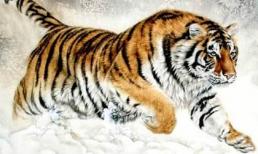 Thần Tài ban thưởng, 3 con giáp bung tài nở lộc, tiền vào như nước trong nửa đầu tháng 9/2020